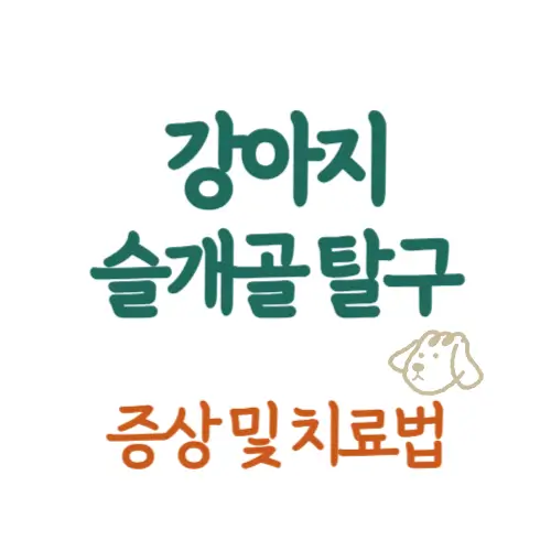 강아지 슬개골 탈구 증상 썸네일