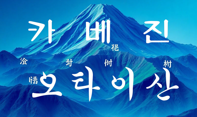 카베진 오타이산 소화제