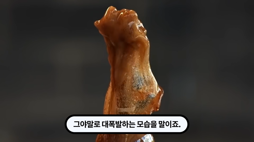  콜라와 멘토스는 왜 만나면 폭발할까? 평범한 것들의 만남과 극적인 반응 이야기