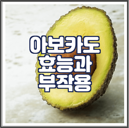  아보카도 효능과 부작용 정리