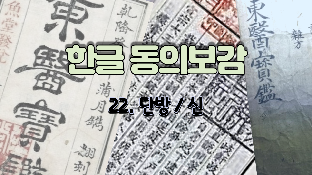  22. 단방(單方)/신 ( 내경 신 )