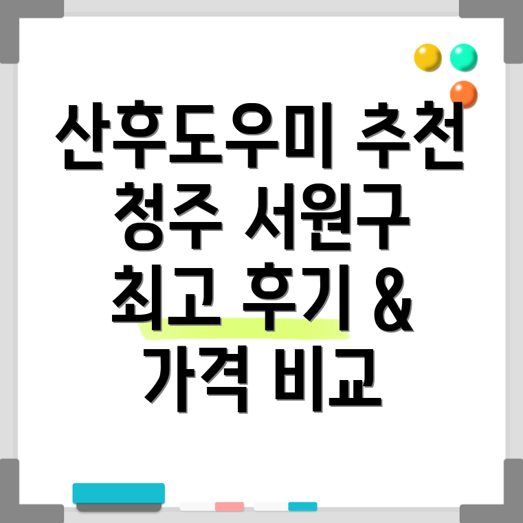 청주시 서원구 산후도우미