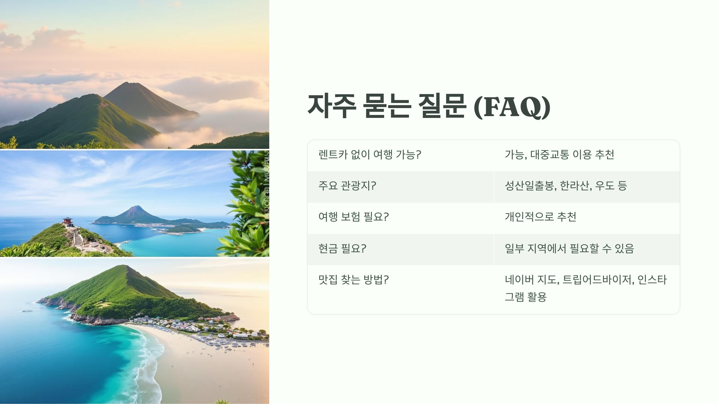 자주 묻는 질문 (FAQ) ❓