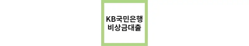  KB국민은행 비상금대출(feat.소액 신용대출)