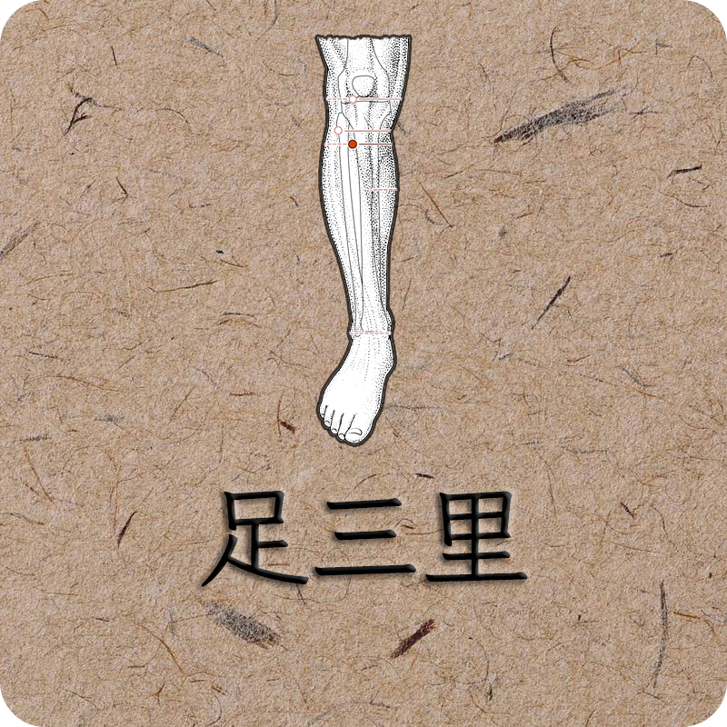 족삼리 이미지