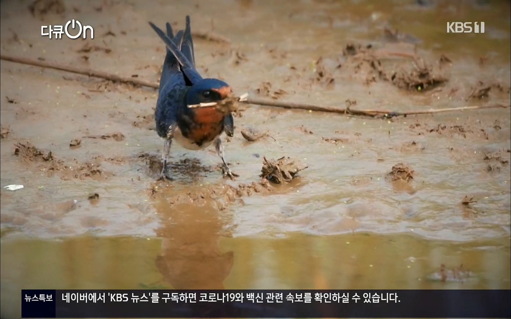 다큐 On.E143.220610p.H264-F1RST.mp4_20220613_200532.693.jpg
