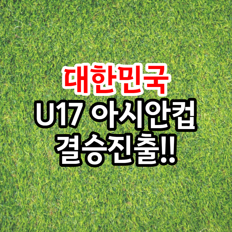 U17 아시안컵 결승 진출 썸네일