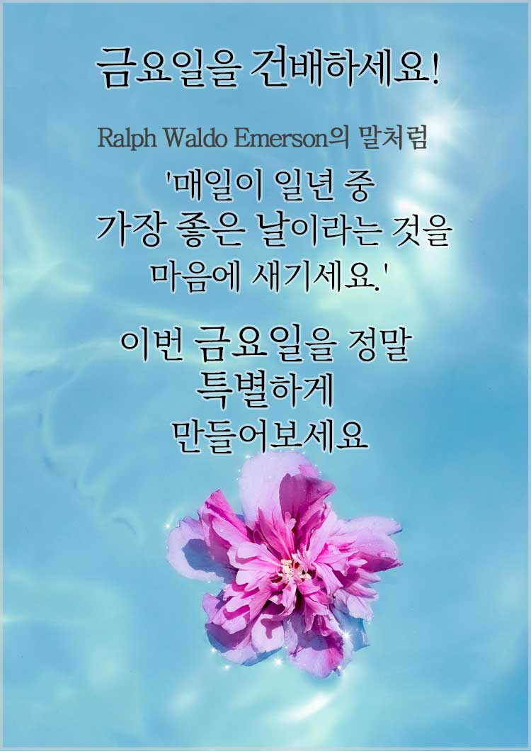 금요일 인사말 오전 오후 안부인사-금요일을 건배하세요! 랄프 월도 에머슨(Ralph Waldo Emerson)의 말처럼 &amp;#39;매일이 일년 중 가장 좋은 날이라는 것을 마음에 새기세요.&amp;#39; 이번 금요일을 정말 특별하게 만들어보세요.