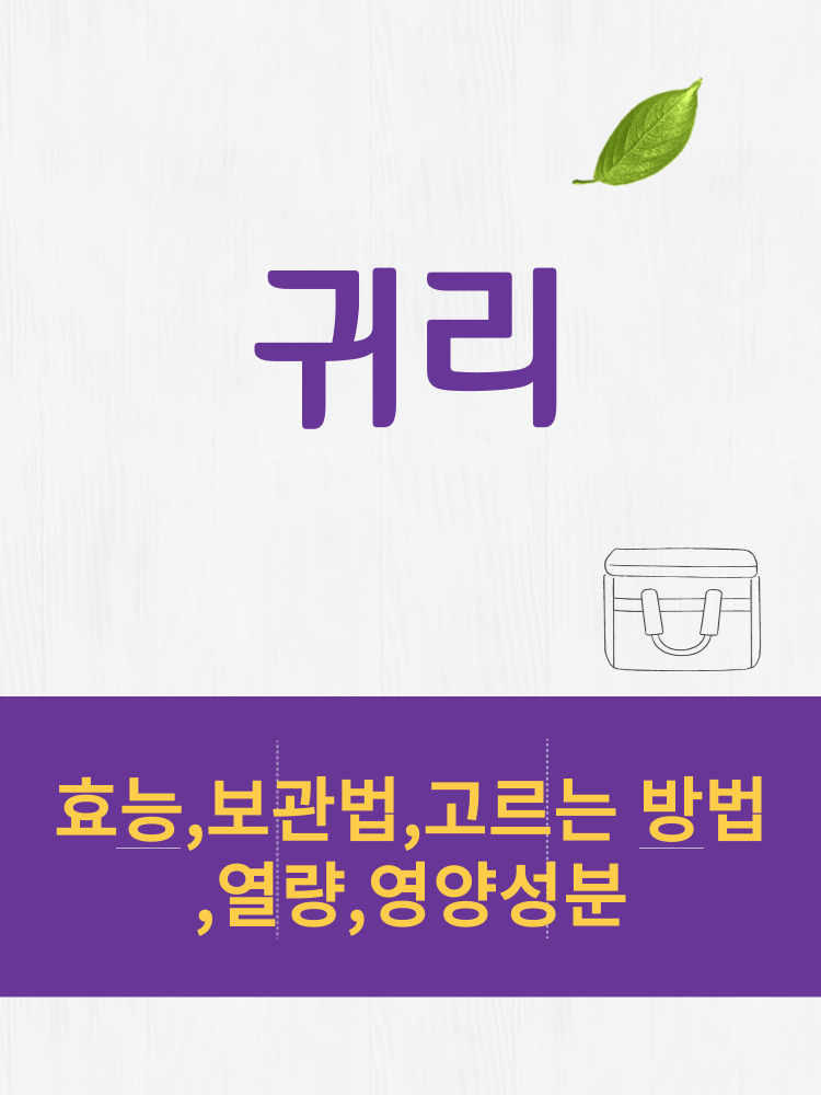  귀리 효능 및 열량과 보관법 칼로리 총정리 