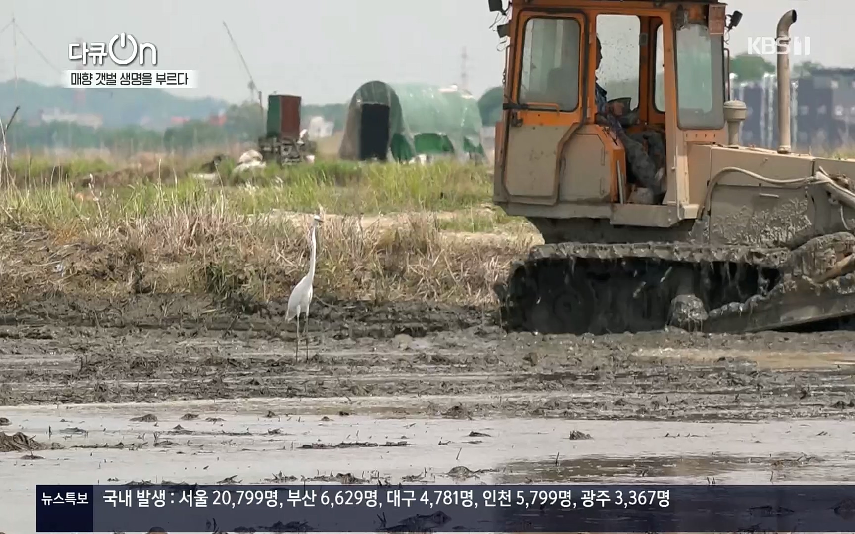 다큐 On.E151.220805p.H264-F1RST.mp4_20220806_193401.600.jpg