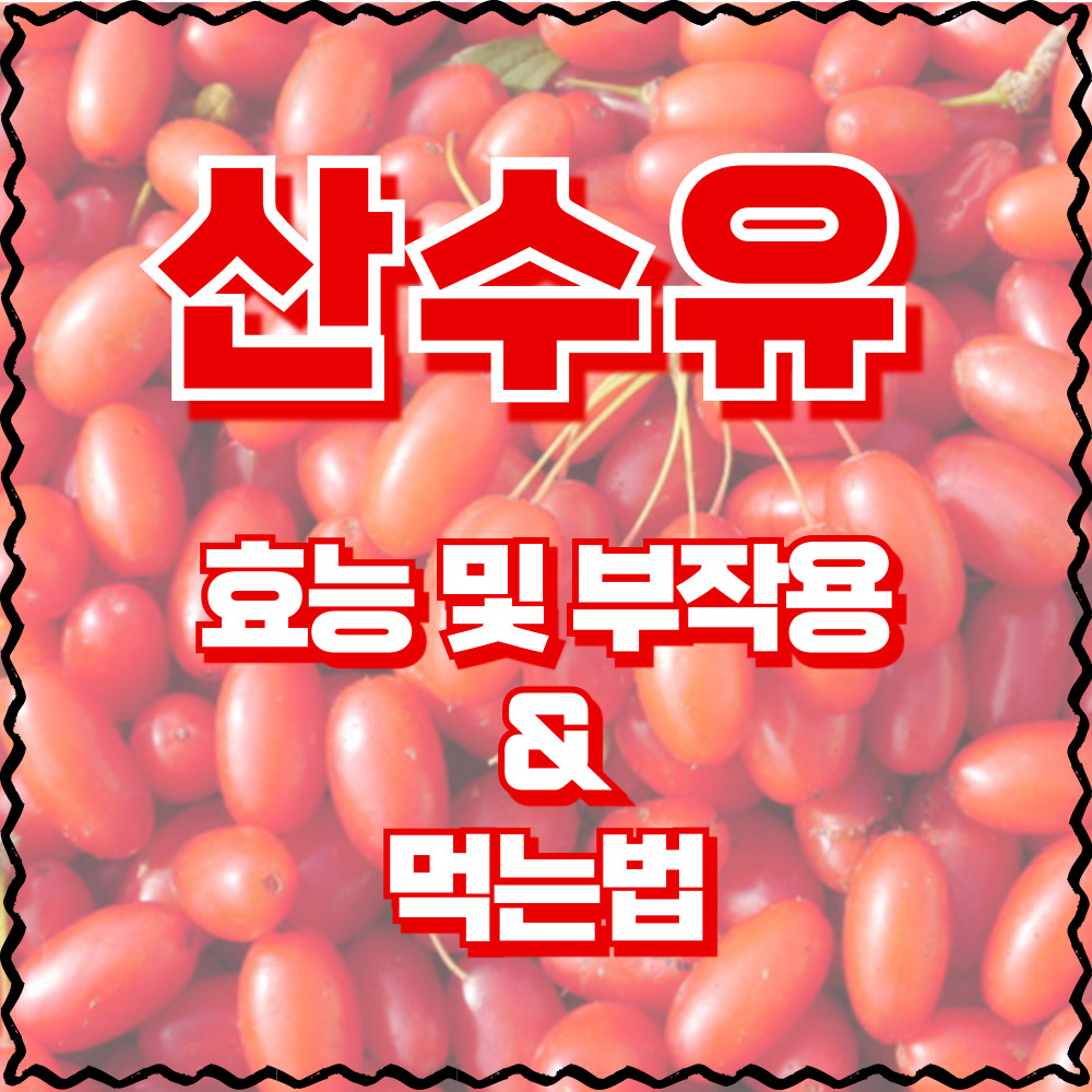 산수유 효능