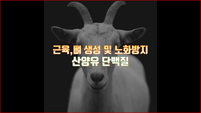  산양유 단백질 효능 :: 근육, 뼈 생성에 도움이 되고 노화방지까지!