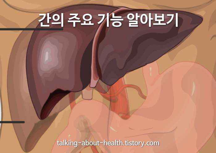 간의 주요 기능