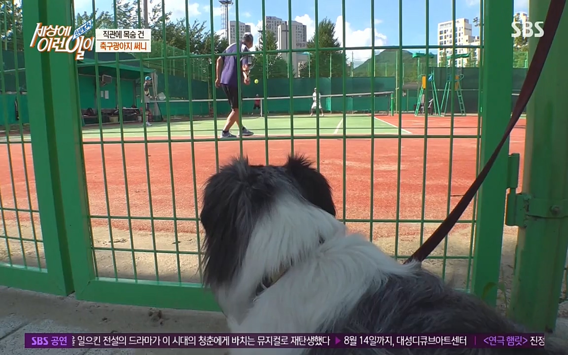 순간포착 세상에 이런일이.E1188.220713p-NEXT.mp4_20220713_175336.447.jpg