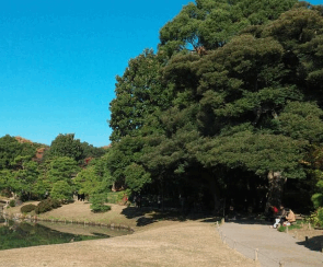 화담숲 예매·예약·주차 완벽 가이드