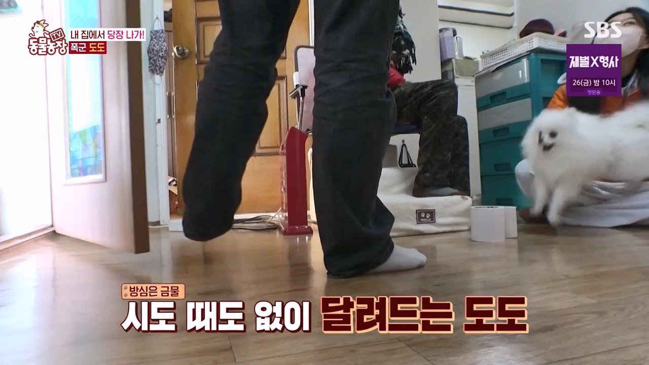 TV 동물농장.E1155.240122p-NEXT.mp4_20240121_145940.550.jpg