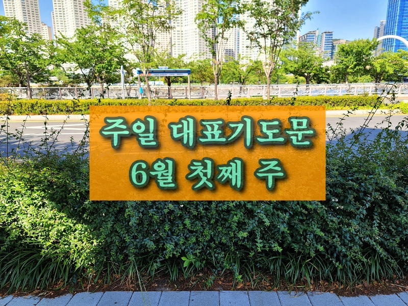 6월 첫째 주 대표 기도문