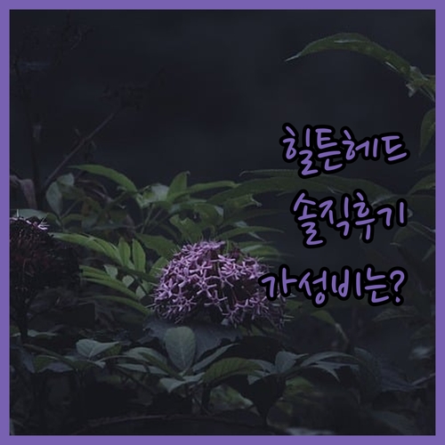 힐튼 비치프론트 리조트 앤 스파 힐튼