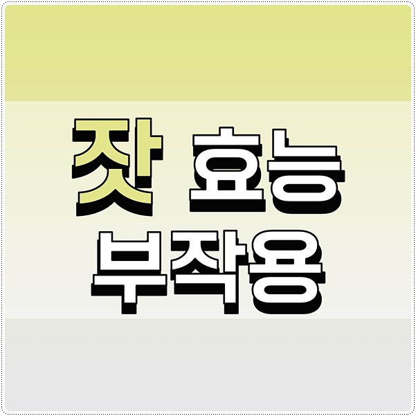 잣효능 부작용 먹는방법 총정리
