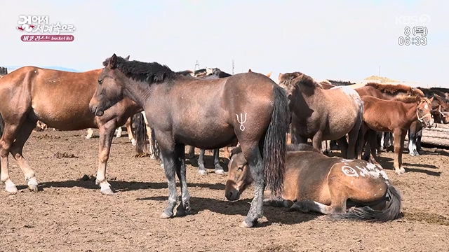 걸어서 세계속으로 버킷리스트.E62.230609p-NEXT.mp4_20230615_210738.313.jpg