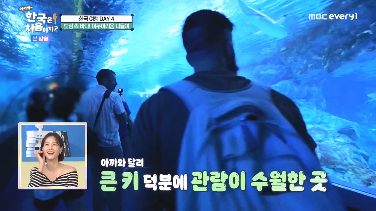 어서와 한국은 처음이지 시즌2.E283.231006p-NEXT.mp4_20231006_203353.080.jpg