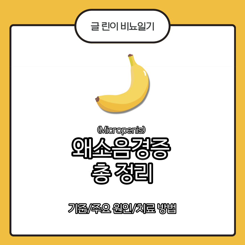  왜소음경증 총 정리 : 기준/주요 원인/치료 방법