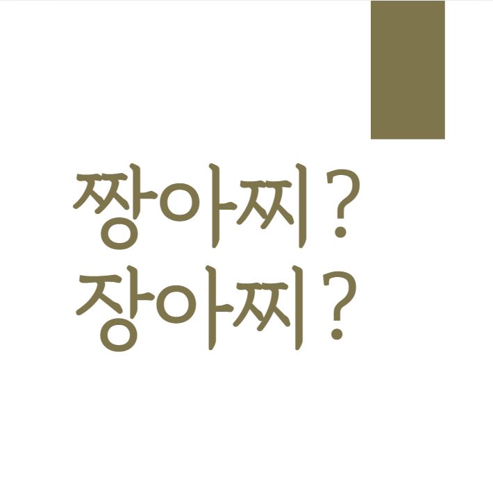  [맞춤법 바로알기] 장아찌 짱아찌 표준어는!?