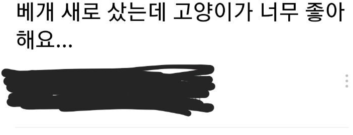  새로산 베개와 사랑에 빠진 고영희