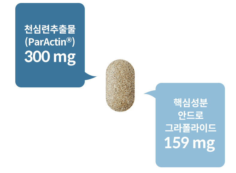 닥터에스더 관절엔 천심련