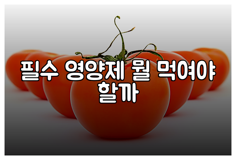 필수 영양제 뭘 먹여야 할까
