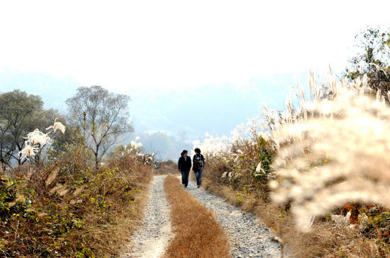 만추 이미지
