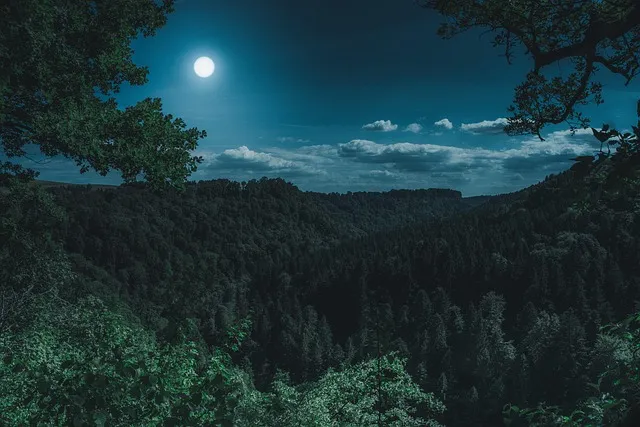 소백산 비로봉 연화봉 등산 완벽 산행코스 소요시간 주차팁과 철도 정보_8