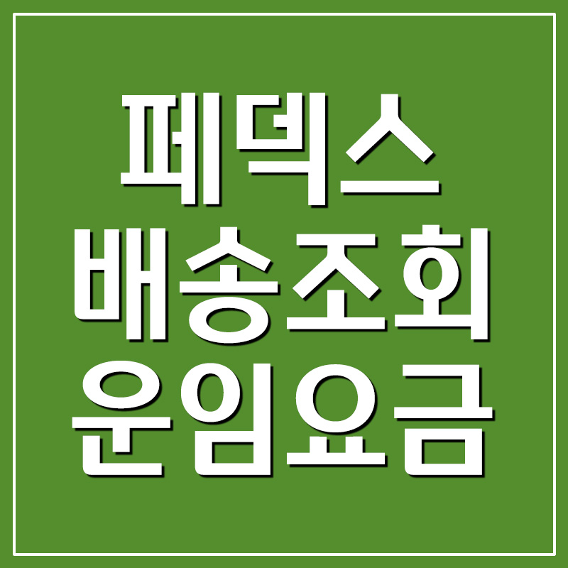  페덱스 FedEx 배송조회 및 운임 요금