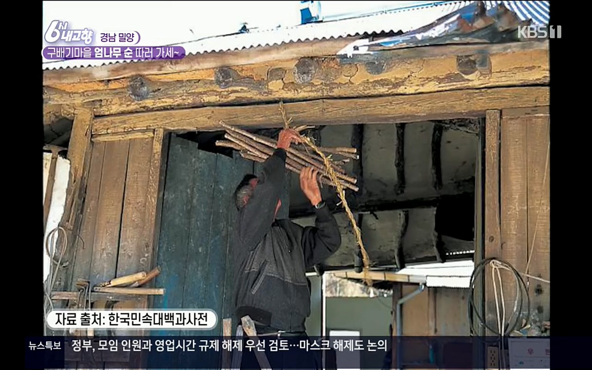 6시 내고향.E7510.220414p.H264-F1RST.mp4_20220419_182205.361.jpg