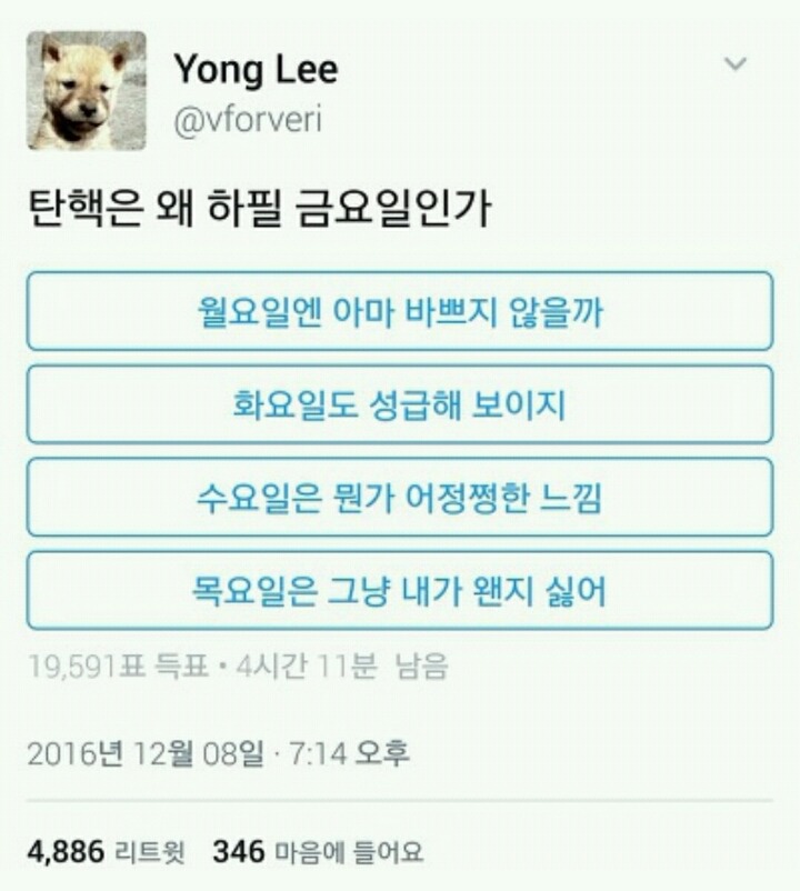  웃긴짤방ㅣ월요일엔 아마 바쁘지 않을까