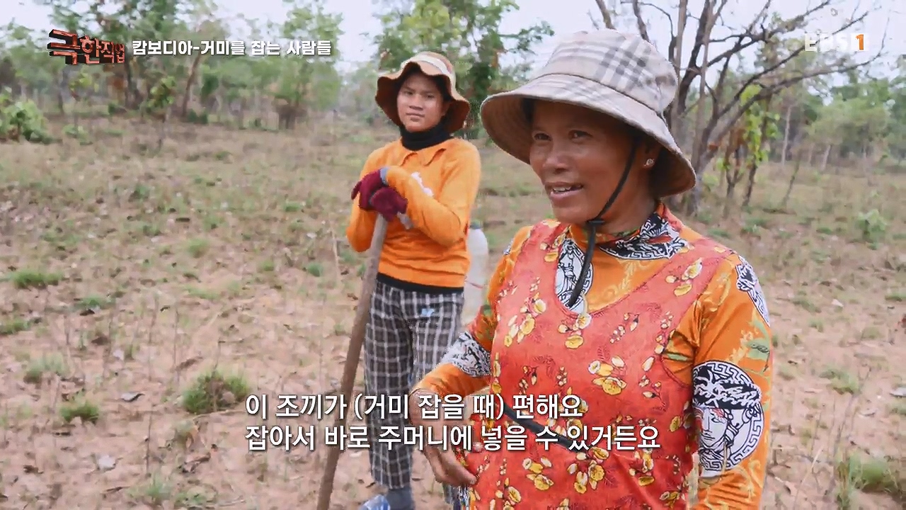 TV - 전 국민의 평생학교 EBS캄보디아 - 독충을 잡는 사람들.mp4_20230501_172019.115.jpg