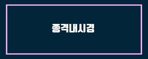  종격내시경