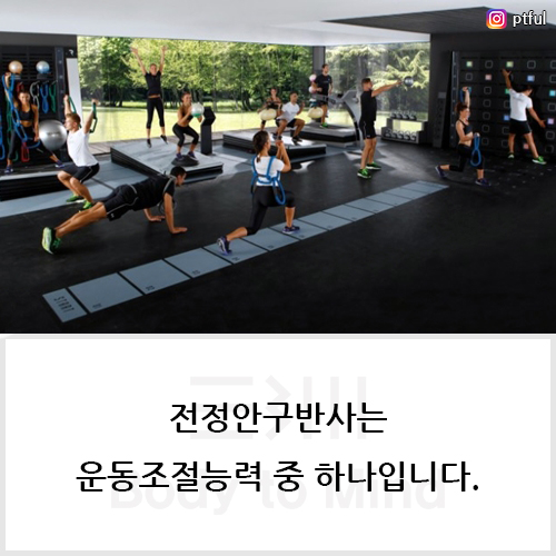 전정안구반사(vestibulo ocular reflex)는 운동조절능력(motor control ability) 중 하나입니다.
