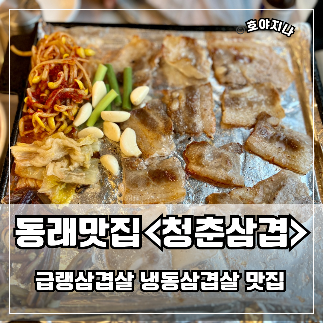 청춘삼겹 동래직영점 사진 3