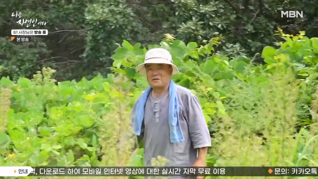 나는 자연인이다.E573.230928p-NEXT.mp4_20230929_174815.593.jpg