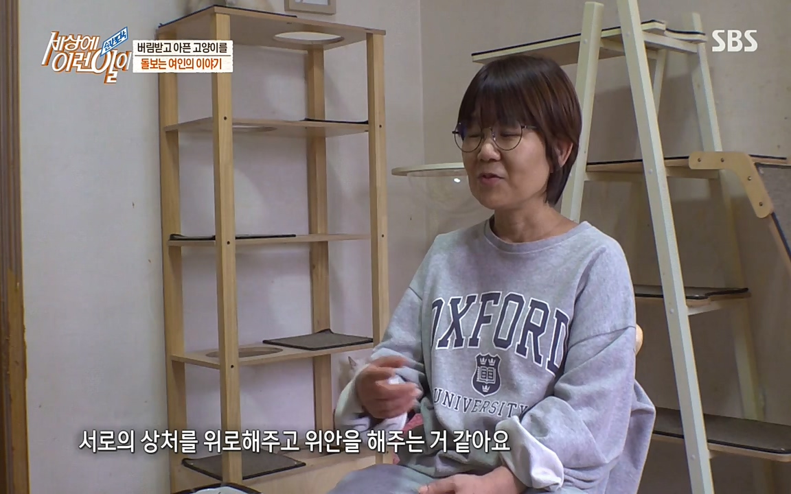 순간포착 세상에 이런일이.E1173.220330p-NEXT.mp4_20220330_174807.935.jpg