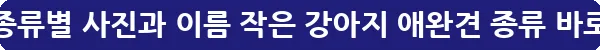 강아지 종류별 사진과 이름 작은 강아지 애완견 종류_15
