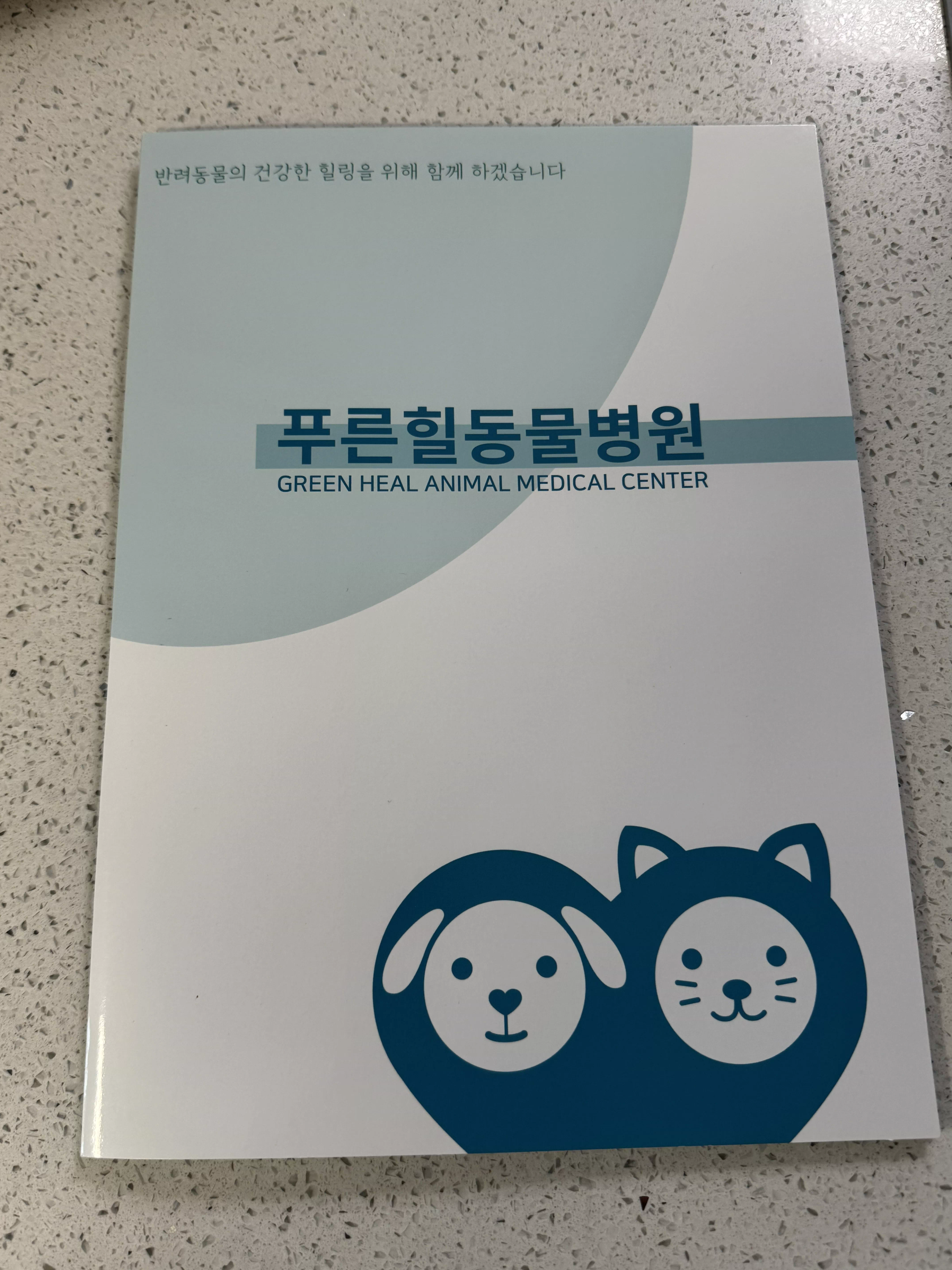 보고서
