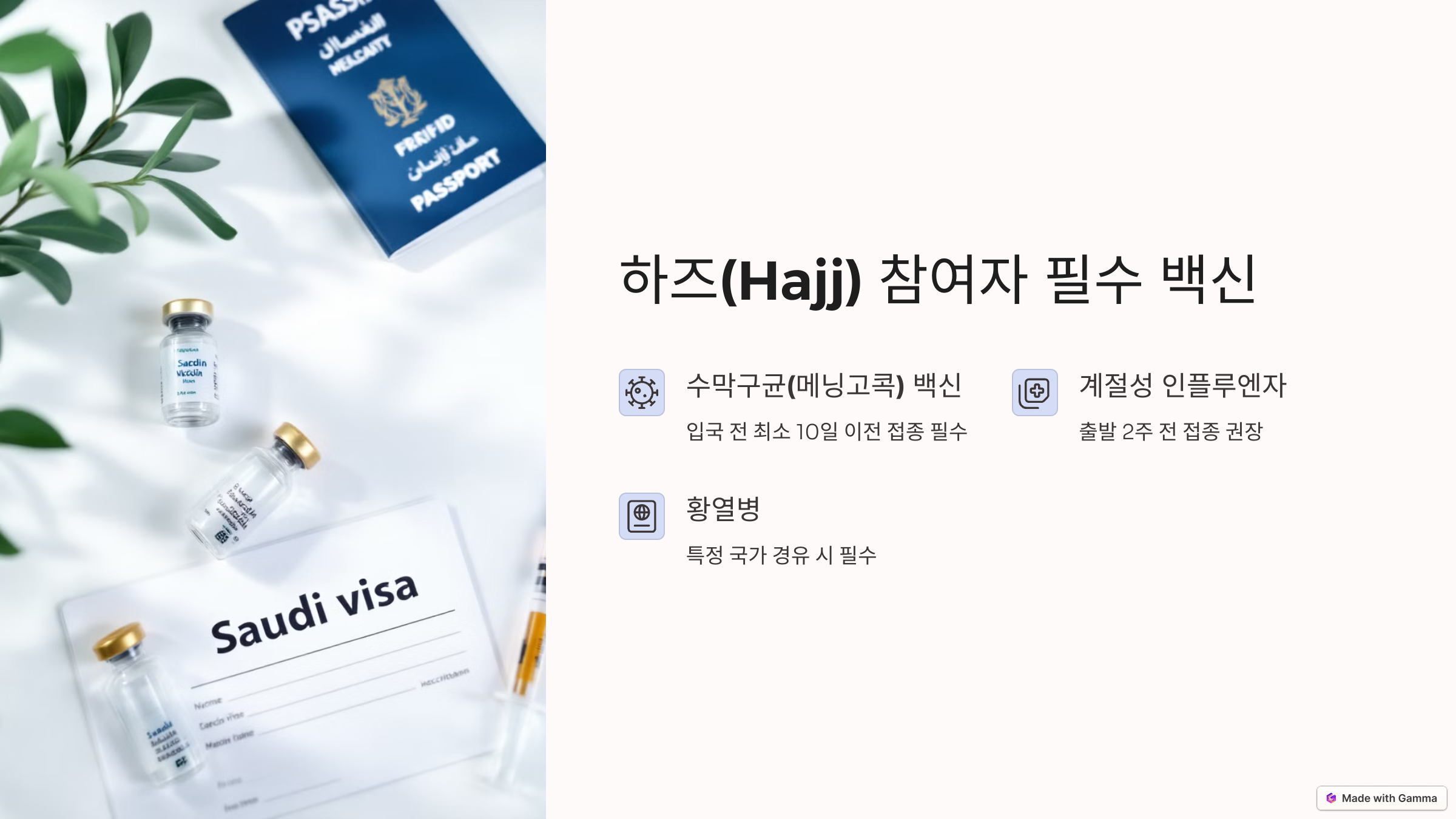 하즈(Hajj) 참여자 백신 필수