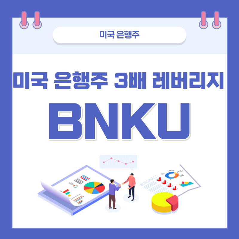  미국 은행주, 지금이 기회? 미국 대형 은행주 3배 레버리지 - BNKU