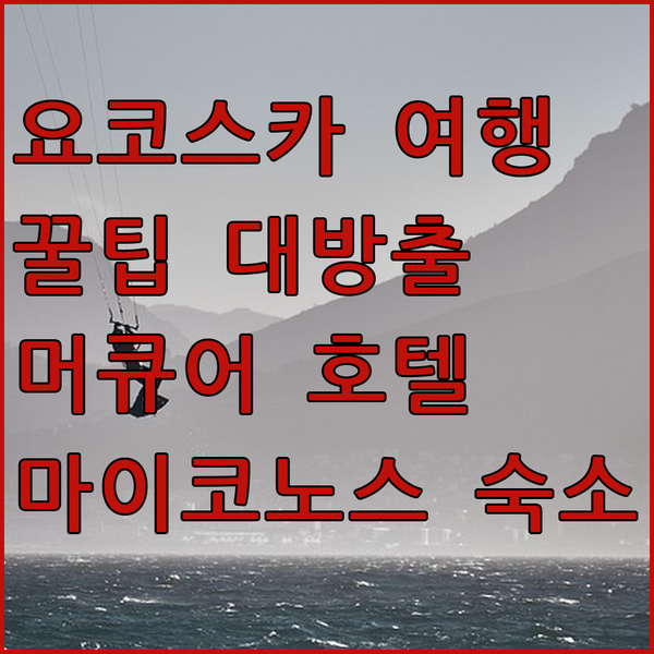 요코스카 여행 필수 정보 머큐어 요코