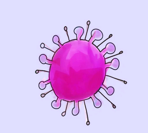 A형 간염 증상 hepatitis Asymptom 11