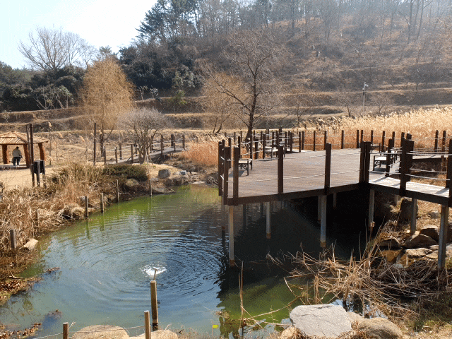  몸과 마음의 힐링을 남겨주는 휴식의 공원<통영 세자트라숲>