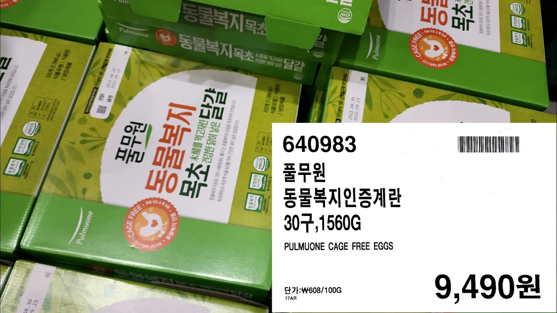 풀무원
동물복지인증계란
30구,1560G
PULMUONE CAGE FREE EGGS
9,490원