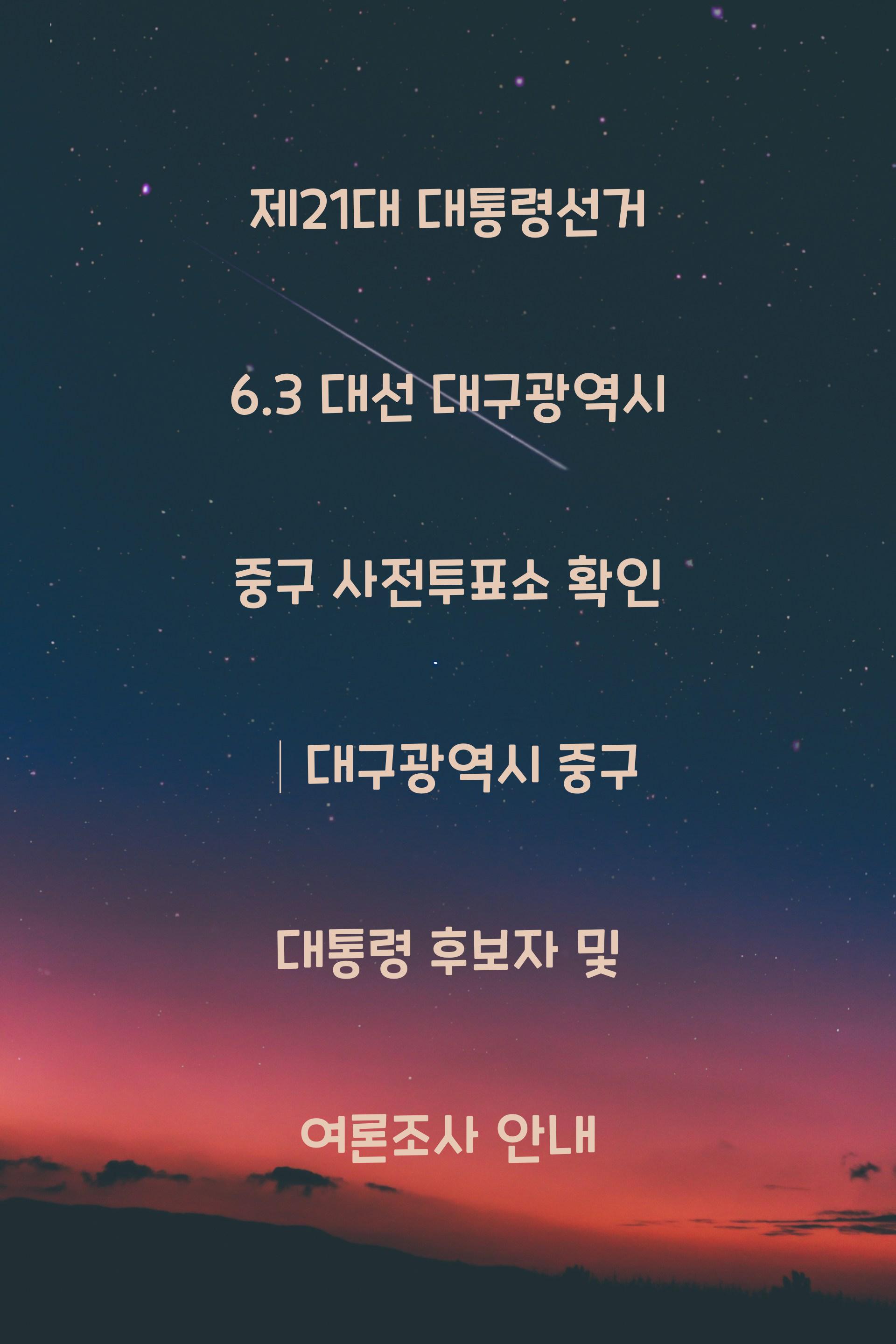 제21대 대통령선거 6.3 대선 대구광역시 중구 사전투표소 안내 │대구광역시 중구 대통령 후보자 및 여론조사 확인